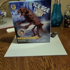 Dinosaur excavation kit