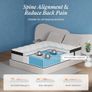 Double Mattress 10 Inch Hybrid Memory Foam Mattresses 4FT6, 7 Zone Orthopedic Double Mattresses, Pocket Spring Medium Firm Hypoallergenic Fabric, with Motion Isolation, with OEKO TEX(135x190x25cm) Image 3