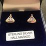 Sterling Silver Earrings Image 3