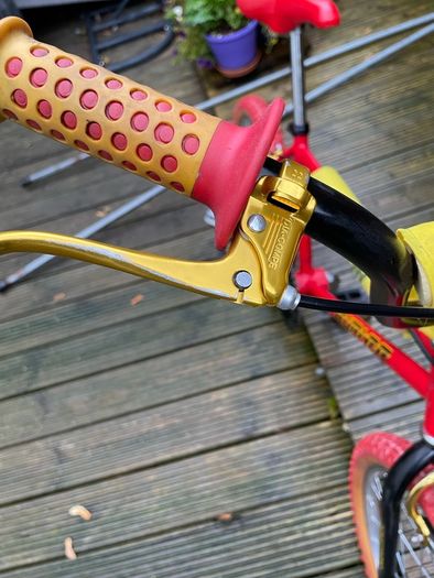Raleigh Burner