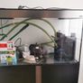 aquarium complete set 190l Image 3