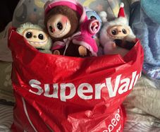 free Teddies