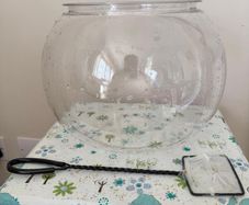 12L Betta Fish Bowl with Filter & Heater  - Complete Starter Aquarium
