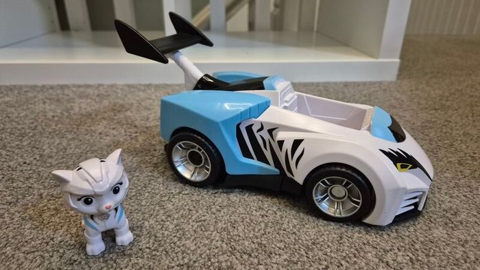 Rory form Cat Pack