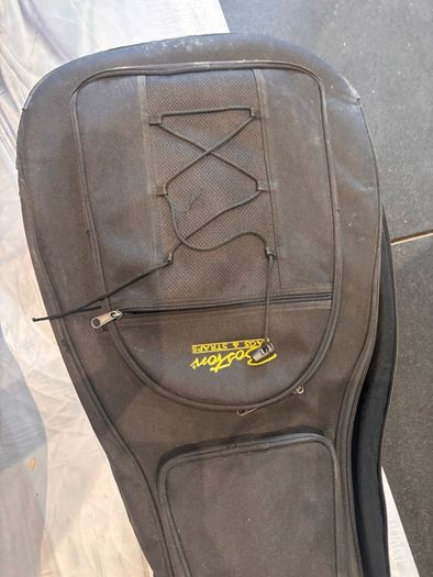 Richwood Artist Series electro-acoustic guitar and case