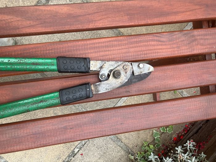 Branch pruner