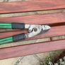 Branch pruner Image 3
