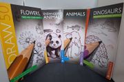 SALE! Set of 4 DRAW 50 drawing books: Dinosaurs, Flowers, Animals and Endangered Animals