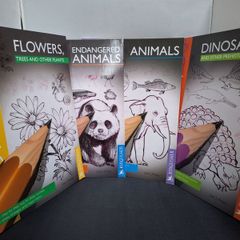 SALE! Set of 4 DRAW 50 drawing books: Dinosaurs, Flowers, Animals and Endangered Animals