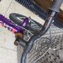 Ridgeback MX16 Image 4