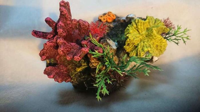 Coral Rock for aquarium