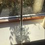 Table lamp Image 7