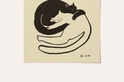 Cat print