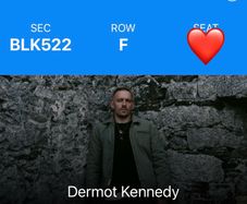 2 x Seated Dermot Kennedy Tix Saturday