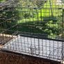 Pet Cage Image 3