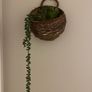 Wall decor Image 3