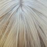 wig Image 2