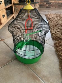 Bird Cage