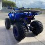 125cc petrol quads Image 4