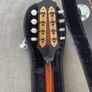 Mandolin Image 5