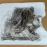 Little Paws Holly The Springer Spaniel Figurine Arora Dog - New in Box Image 8