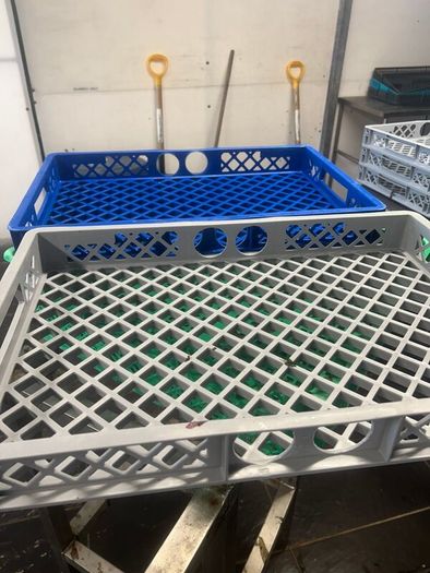 Storage boxes and trays