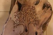 Fingerprint Trees