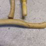hammers Image 2