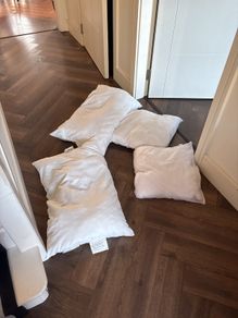 pillows and cushions