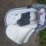 Buggy Image 8
