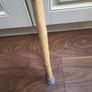 Walking stick Image 4
