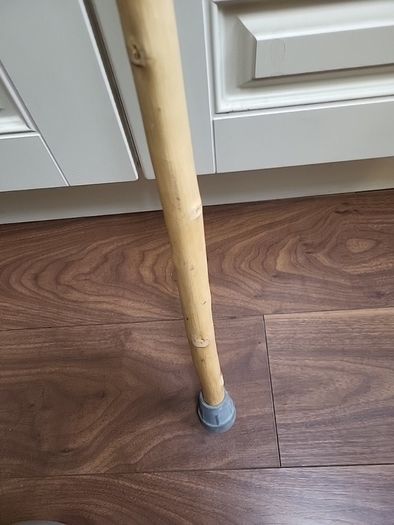 Walking stick