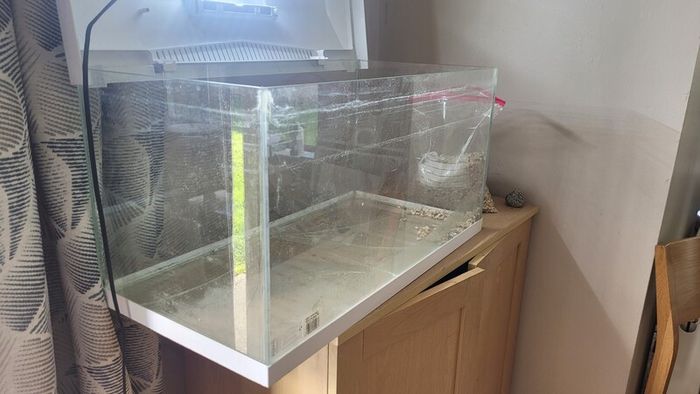 free tank / terrarium / vivarium