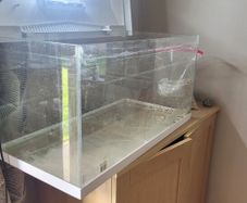 free tank / terrarium / vivarium