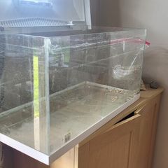 free tank / terrarium / vivarium