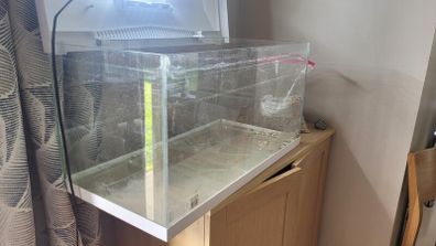 free tank / terrarium / vivarium