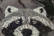 Fantastic M&amp;S Racoon Sequin TShirt Age 5 to 6 Yrs