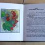 Bladhma: Walks of discovery in Slieve Bloom by Thomas P. Joyce Image 8