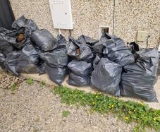 Free garden soil