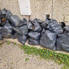 Free garden soil