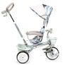 Kids tricycle/Trike New Image 4