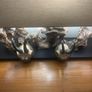 Antique Pair of Alpine Chamois Taxidermy Mounts Image 4
