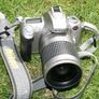 Nikon F55 Image 9