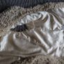 Fur Vest  Size 8 Image 4