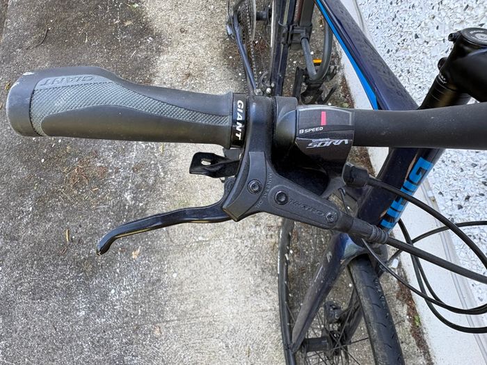 Giant FastRoad Mens Bike