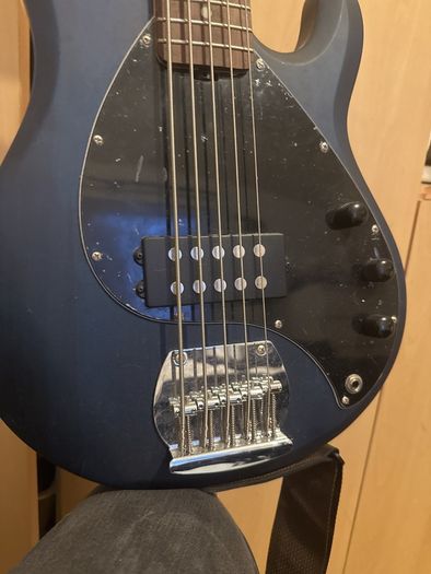 Sterling 5 Bass