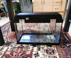Small fish tanks for sale