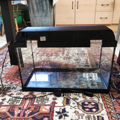 Small fish tanks for sale