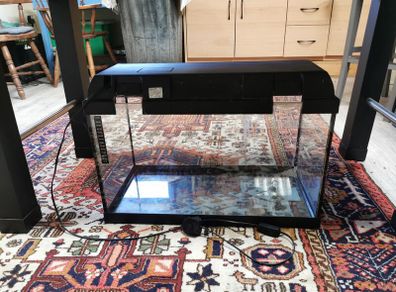 54 ltr fish tanks for sale