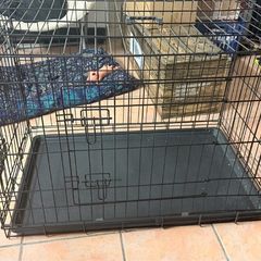 dog cage